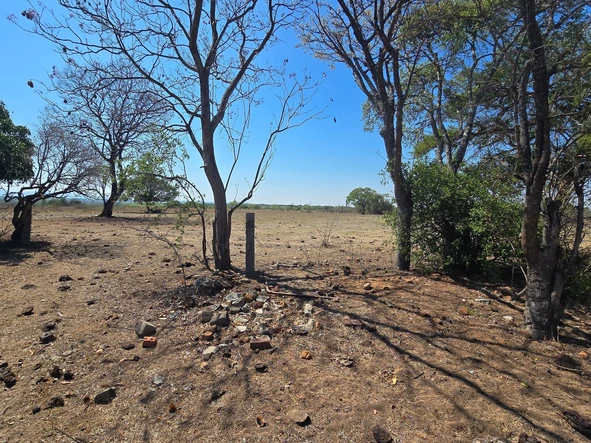 Farm & Agricultural Land