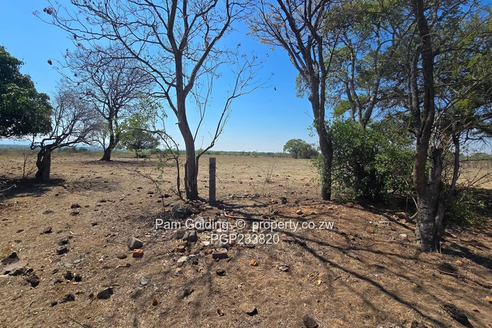 An Exceptional 428 Hectare Somabhula Farm