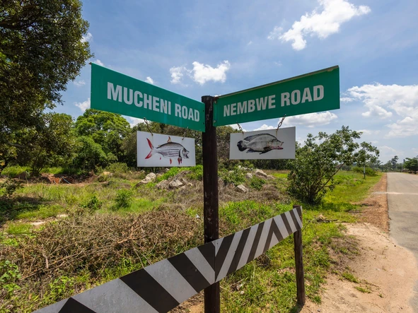 Stands & Residential Land