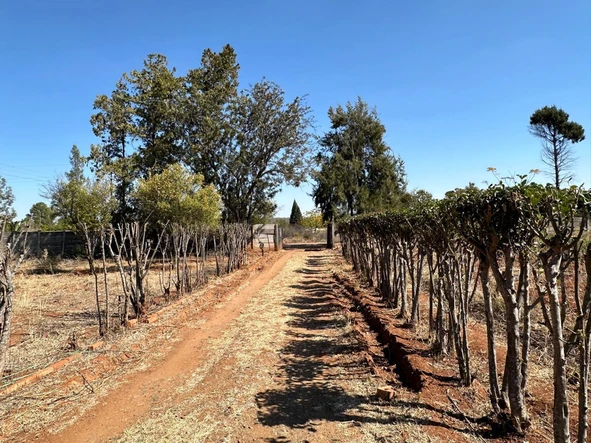  Idyllic Plot Near Bulawayo CBD