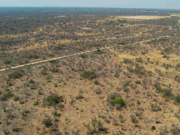 Farm & Agricultural Land