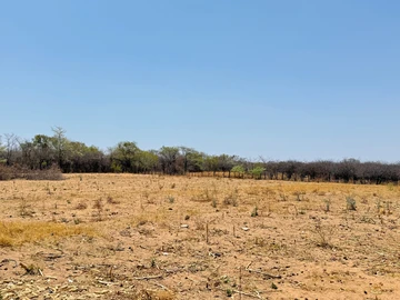 Farm & Agricultural Land