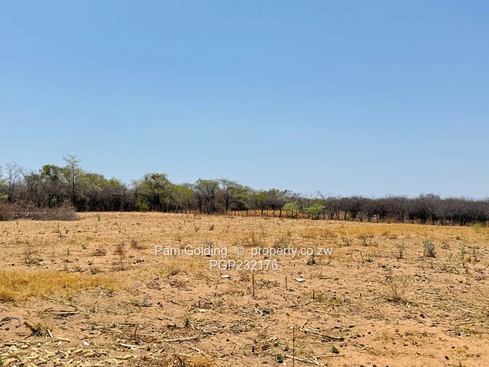 3700ha Farm For Sale – Nyamandlovu