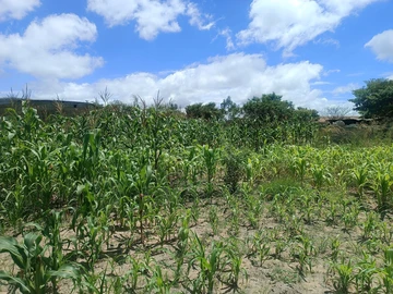 Residential Stand For Sale In Riverside, Ruwa