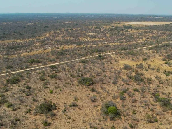 Farm & Agricultural Land