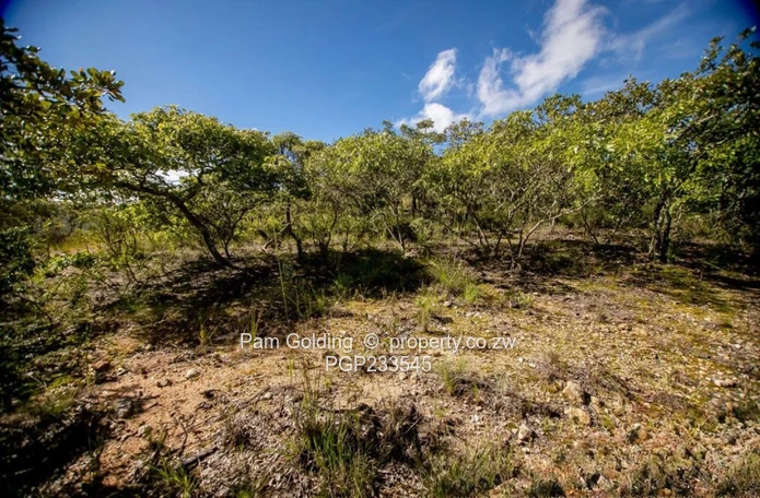 2.1 Ha Vacant Land John Galt Village Nyanga (Sole Mandate)