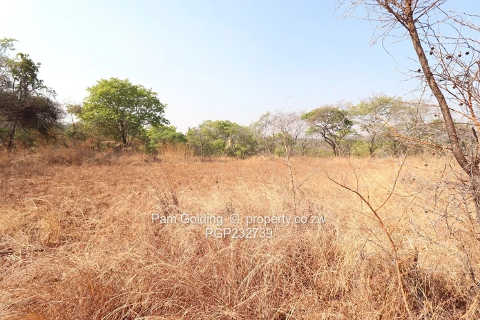 Versatile Property with Agricultural and Residential Potential