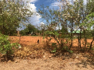 Commercial & Industrial Land