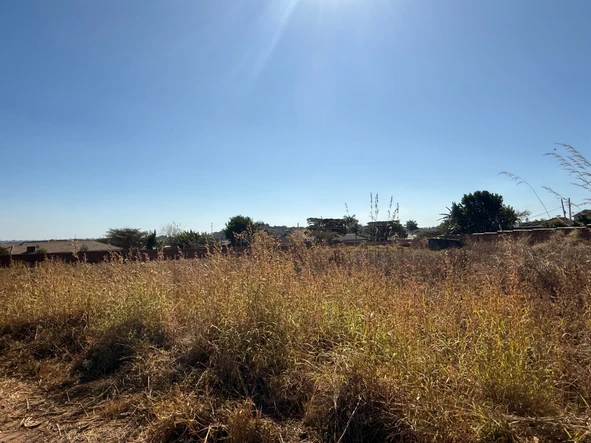 Stands & Residential Land