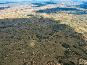 Farm & Agricultural Land