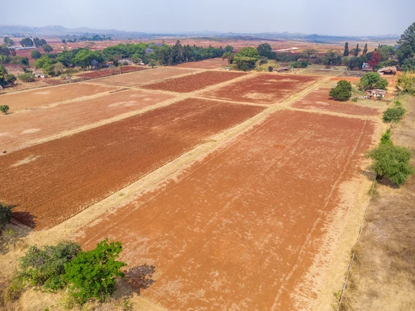 Farm & Agricultural Land