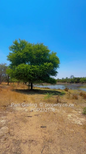 3700ha Farm For Sale – Nyamandlovu