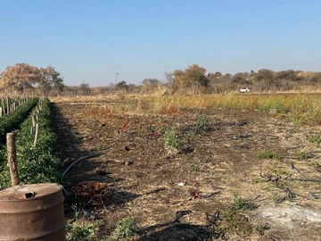 Farm & Agricultural Land