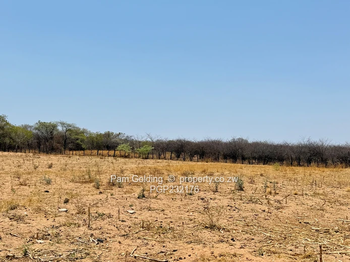 3700ha Farm For Sale – Nyamandlovu