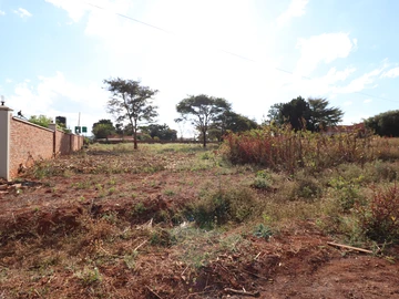 Stands & Residential Land