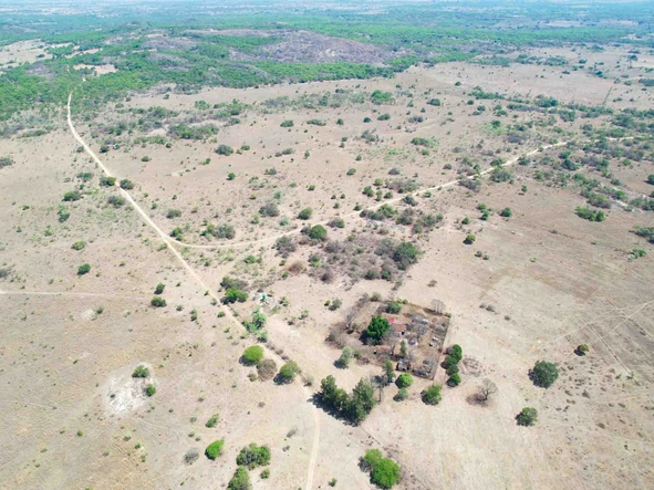 Farm & Agricultural Land