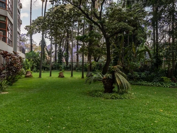 3 Bedroom Flat & Apartment