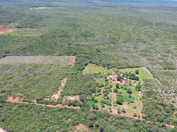 Farm & Agricultural Land