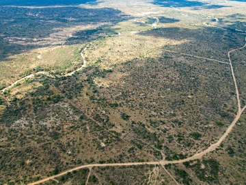 Farm & Agricultural Land