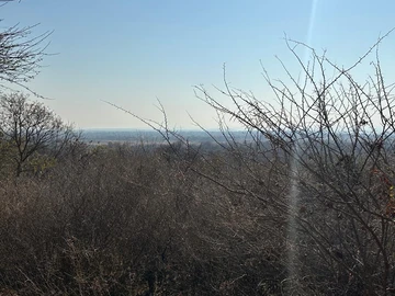 Farm & Agricultural Land