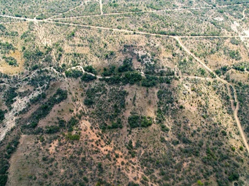 Farm & Agricultural Land
