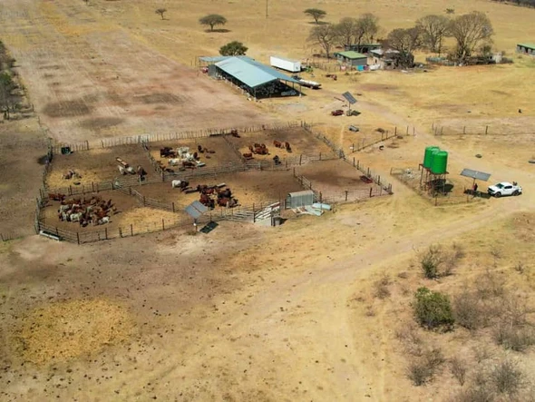 Farm & Agricultural Land