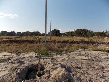 Stands & Residential Land