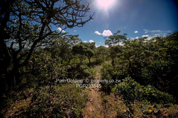 2.1 Ha Vacant Land John Galt Village Nyanga (Sole Mandate)