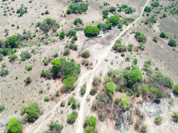 Farm & Agricultural Land