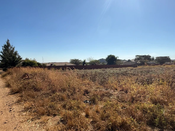 Stands & Residential Land