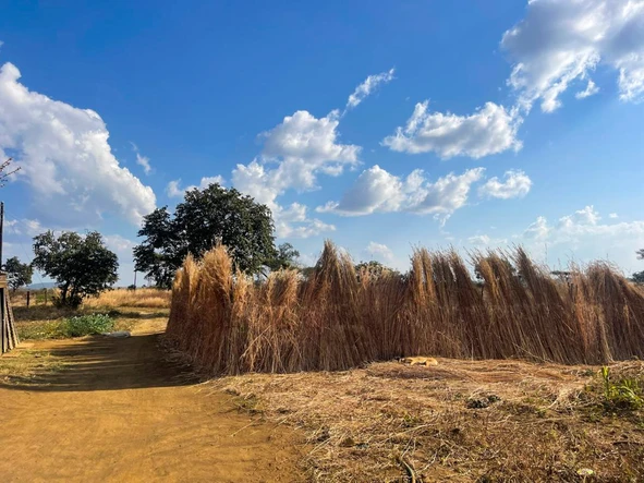 Farm & Agricultural Land