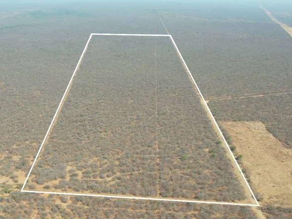 Farm & Agricultural Land