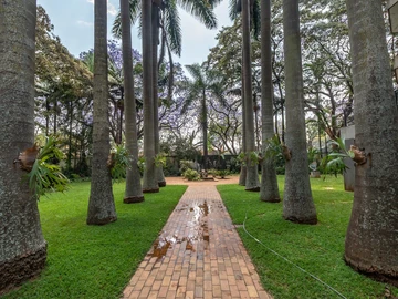 3 Bedroom Flat & Apartment