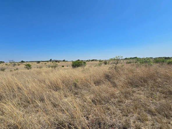 Farm & Agricultural Land