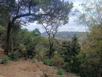 Stand for Sale in Shawasha Gated Community!!