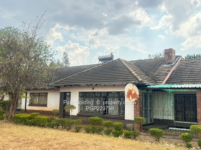 Matsheumhlophe for sale