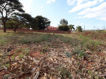 Stands & Residential Land