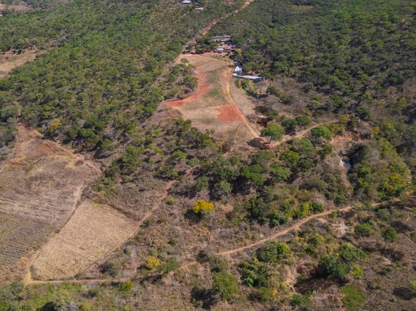 Farm & Agricultural Land