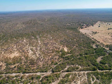 Farm & Agricultural Land