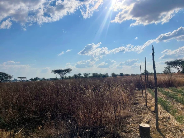 Farm & Agricultural Land