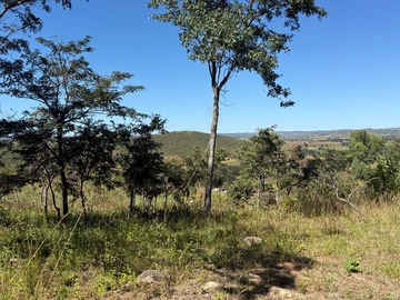 Farm & Agricultural Land