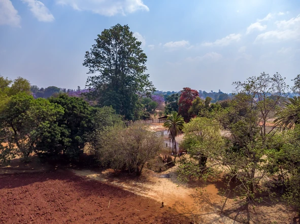 Farm & Agricultural Land