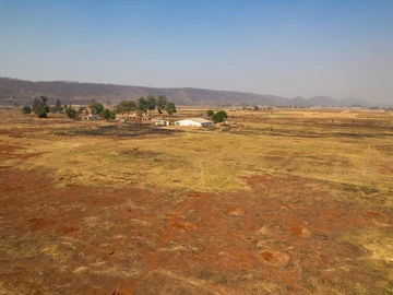 Farm & Agricultural Land