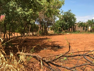 Commercial & Industrial Land