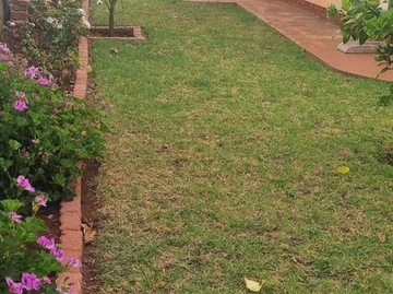 3 Bedroom Flat & Apartment