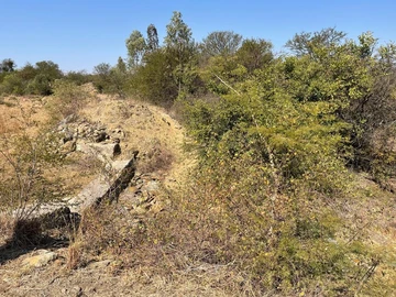 Farm & Agricultural Land