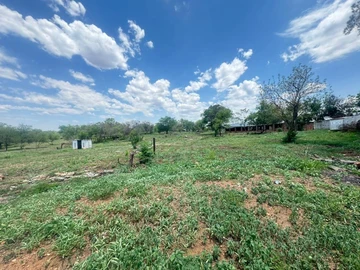 Farm & Agricultural Land