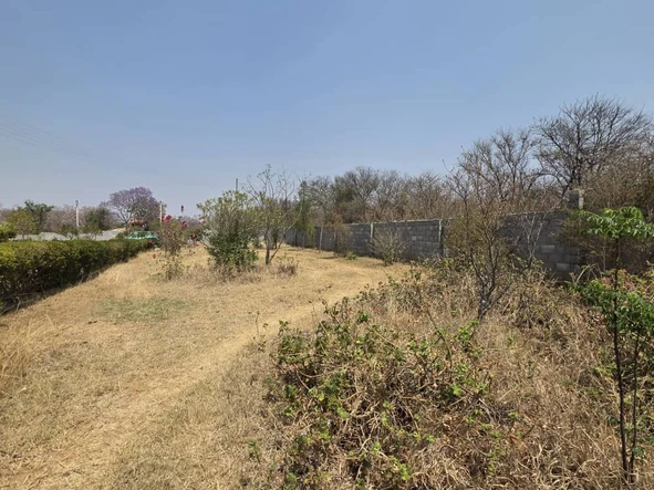 Farm & Agricultural Land