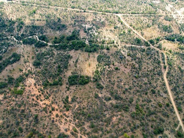 Farm & Agricultural Land