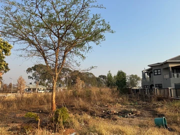 Stands & Residential Land